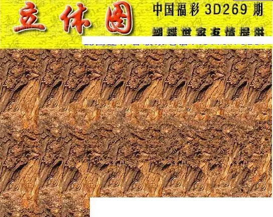 25269期: 3D蝴蝶世家蝴蝶彩图