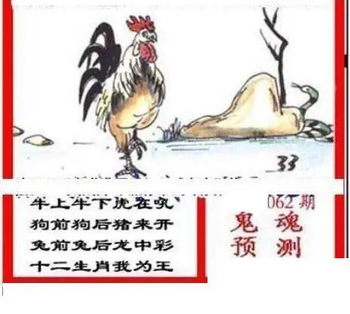 26062期: 三毛3D精品图谜