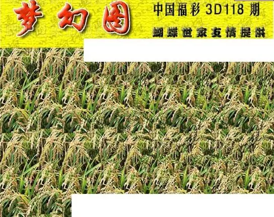 25118期: 3D蝴蝶世家蝴蝶彩图