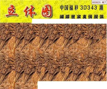 25343期: 3D蝴蝶世家蝴蝶彩图