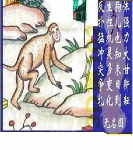 24102期: 太湖图福彩3D精品预测