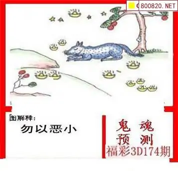 25174期: 白老3D杀码图版