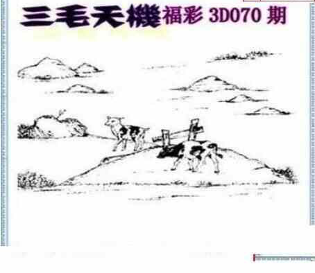 24070期: 三毛3D精品图谜