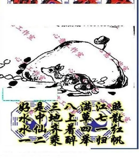 26102期: 三毛3D精品图谜