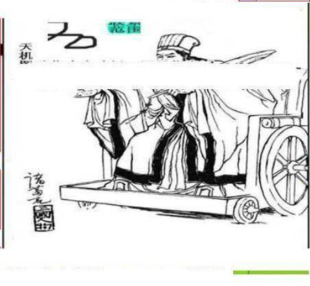 25016期: 三毛3D精品图谜