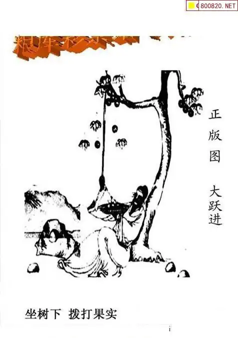 25201期: 老村长福彩3D天天图谜