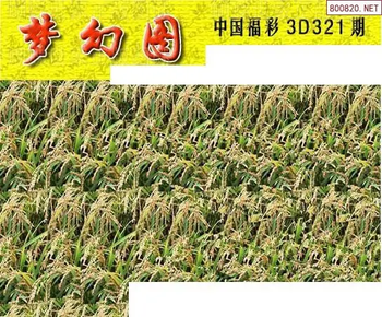 25321期: 3D蝴蝶世家蝴蝶彩图