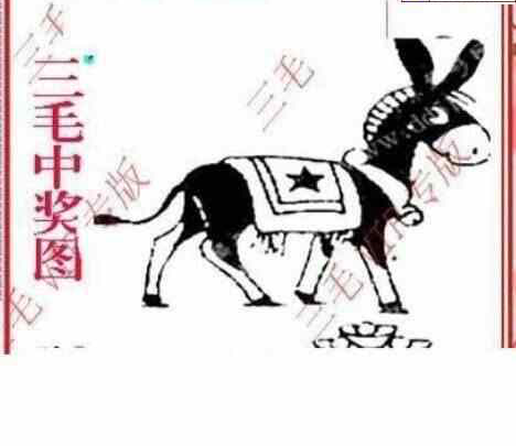 25042期: 三毛3D精品图谜