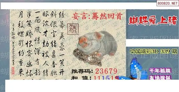 25339期: 3D蝴蝶世家蝴蝶彩图