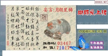 25313期: 3D蝴蝶世家蝴蝶彩图