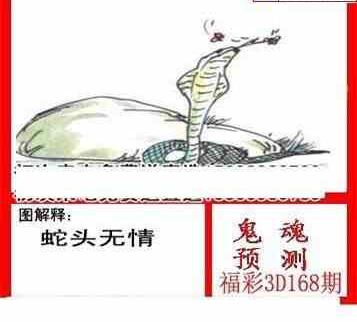 24168期: 白老3D杀码图版