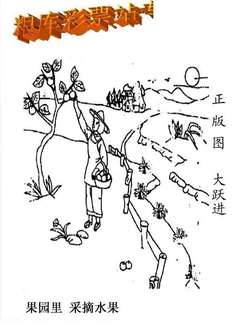 25339期: 老村长福彩3D天天图谜