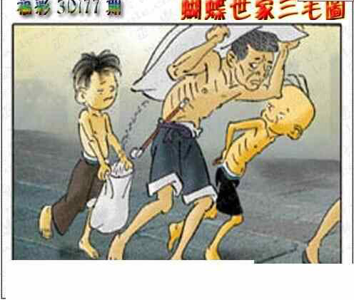 24177期: 3D蝴蝶世家蝴蝶彩图