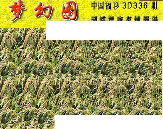 24336期: 3D蝴蝶世家蝴蝶彩图