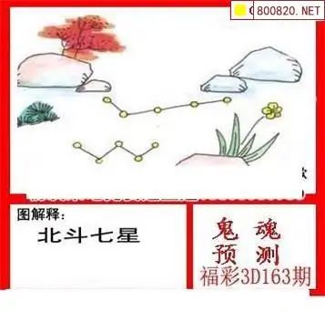 25163期: 白老3D杀码图版