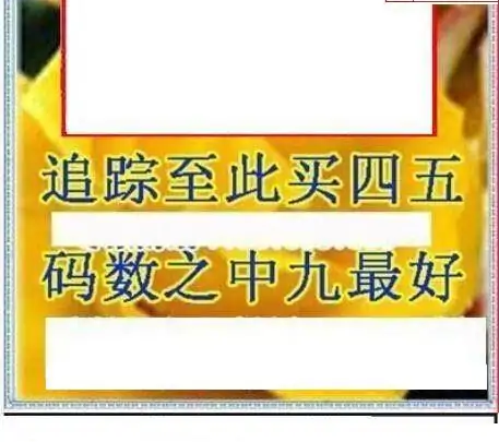 25072期: 三毛3D精品图谜