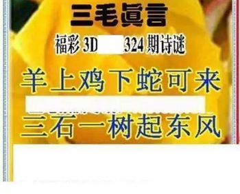 25324期: 三毛3D精品图谜