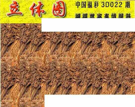 25022��: 3D�������Һ�����ͼ