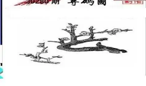 25280期: 三毛3D精品图谜