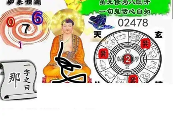 25348期: 白老3D杀码图版