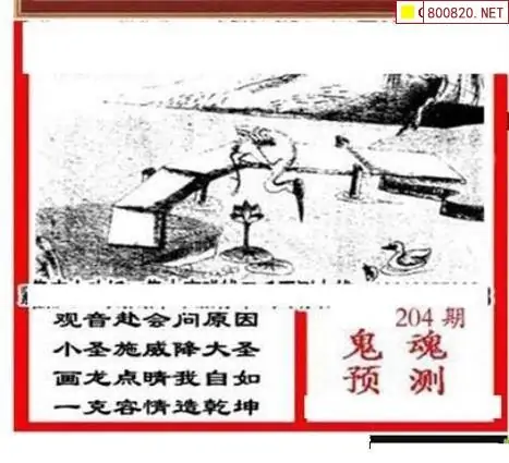 25204期: 三毛3D精品图谜