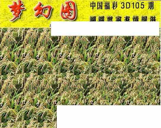 24105期: 3D蝴蝶世家蝴蝶彩图