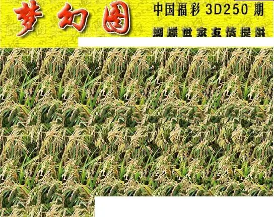 25250期: 3D蝴蝶世家蝴蝶彩图