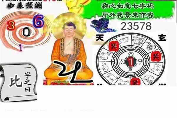 24276期: 白老3D杀码图版