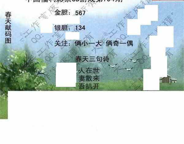 24104期: 大兵福彩3D黄金报图版