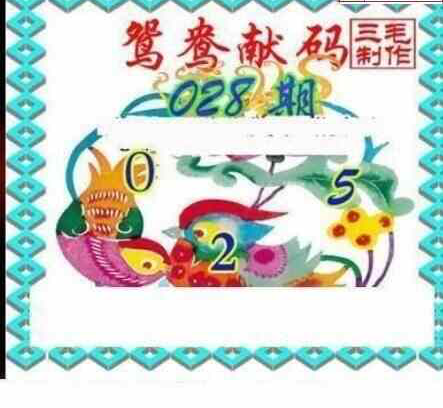 25028期: 三毛3D精品图谜