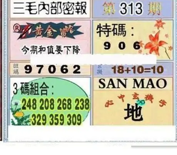 25313期: 三毛3D精品图谜