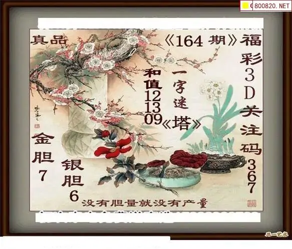 25164期: 白老3D杀码图版