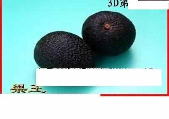 24114期: 白老3D杀码图版