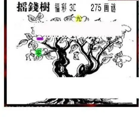 25275期: 三毛3D精品图谜