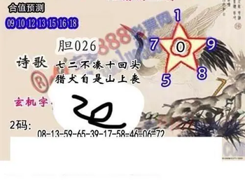 26020期: 白老3D杀码图版