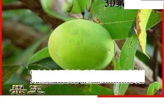 25130期: 白老3D杀码图版