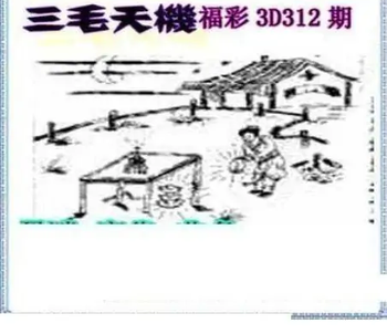 25312期: 三毛3D精品图谜