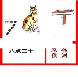 26016期: 白老3D杀码图版