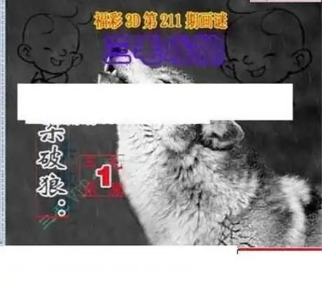 25211期: 三毛3D精品图谜