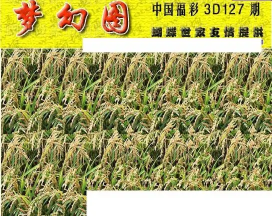 25127期: 3D蝴蝶世家蝴蝶彩图