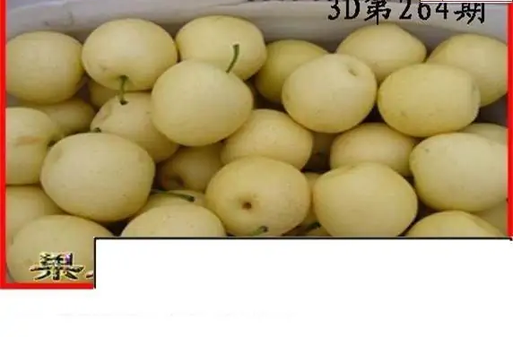 25264期: 白老3D杀码图版