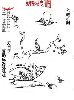 26060期: 老村长福彩3D天天图谜