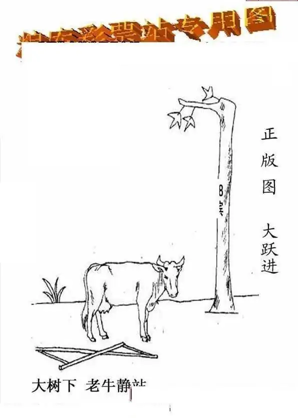 25230期: 老村长福彩3D天天图谜