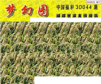 26044期: 3D蝴蝶世家蝴蝶彩图