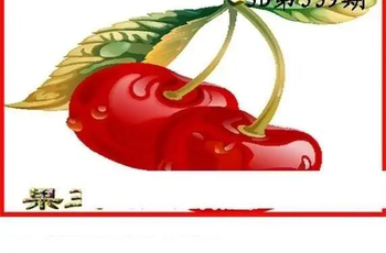 25339期: 白老3D杀码图版