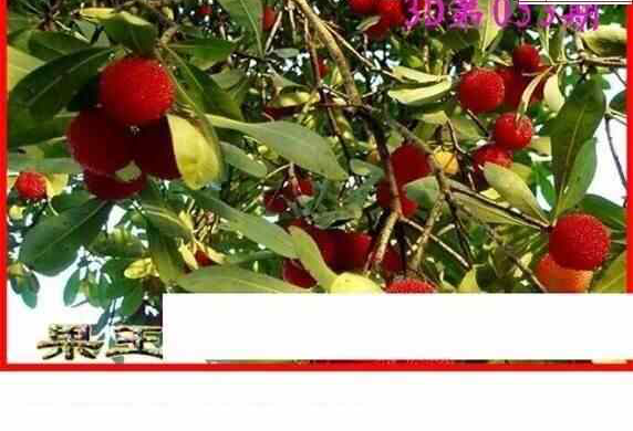 25053��: ����3Dɱ��ͼ��