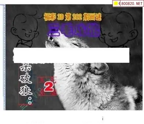 25202期: 三毛3D精品图谜