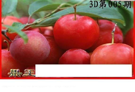 25005期: 白老3D杀码图版