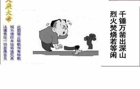 24116期: 白老3D杀码图版