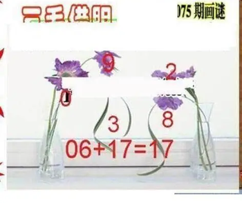 26075期: 三毛3D精品图谜